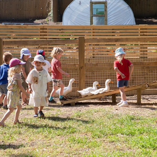ducks-garden-maggies-day-nursery