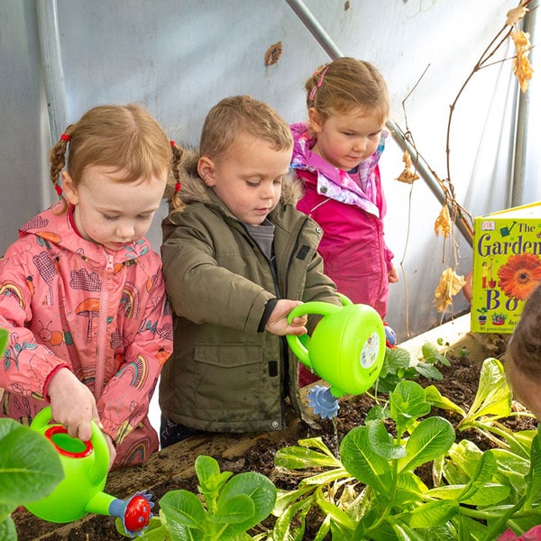 growing-veg-allotment-maggies-day-nursery